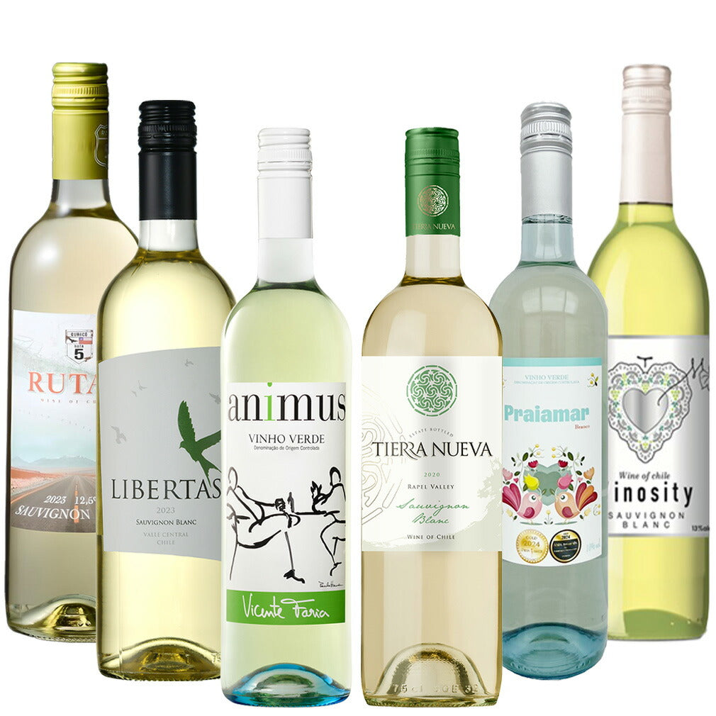 Refreshing Sauvignon Blanc Sparkling Wine Set – 6 Varieties