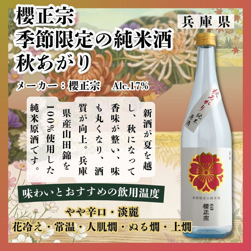 Sakuramasamune Junmai Akiagari (Autumn Limited) 720ml bottle