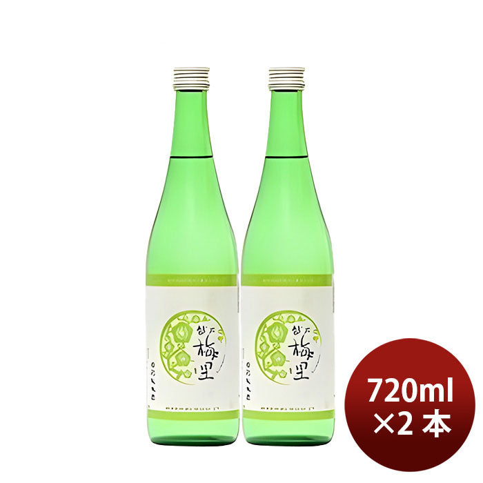 [2btls] Koshinobairi Tokubetsu Junmai 720ml × 2 bottles