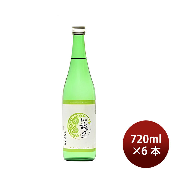 [6btls] Koshinobairi Tokubetsu Junmai 720ml × 6 bottles