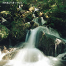 ごま焼酎 紅乙女 角 720ml 25度 紅乙女酒造 焼酎