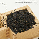 ごま焼酎 紅乙女 KURO 720ml 25度 紅乙女酒造 焼酎