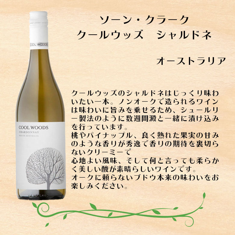 ワインセット カベルネS&シャルドネ飲み比べ×サヴァ缶5種詰め合わせセット ギフト 父親 誕生日 プレゼント
