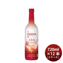 [2CS]Fruit Wine CHOYA ICE NOUVEAU Ice-Ripe Plum Wine 2025 720ml 12 Bottle