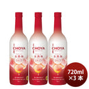 Fruit Wine CHOYA ICE NOUVEAU Ice-Ripe Plum Wine 2025 720ml 3 Bottle