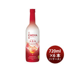 [1CS]Fruit Wine CHOYA ICE NOUVEAU Ice-Ripe Plum Wine 2025 720ml 6 Bottle