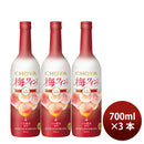Liqueur Choya Umeshu Wine Nouveau 2026 Ice Nouveau 700ml, 3 Bottle