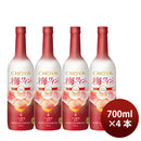 Liqueur Choya Umeshu Wine Nouveau 2026 Ice Nouveau 700ml, 4 Bottle