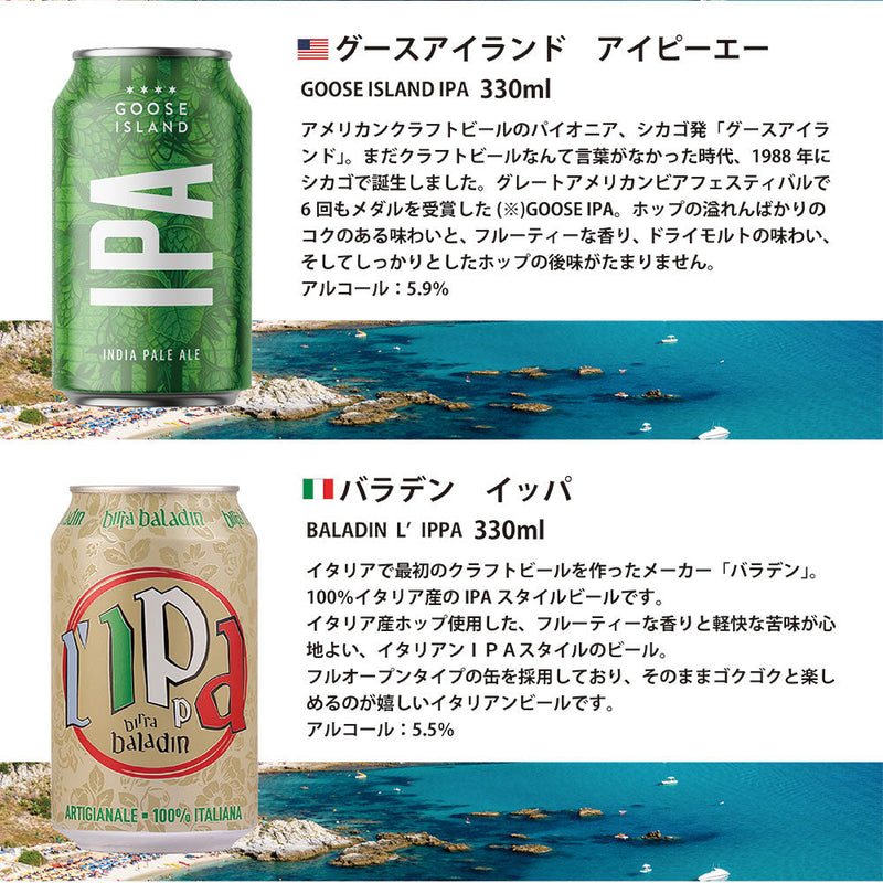 World Craft Beer 12 Type 12btls