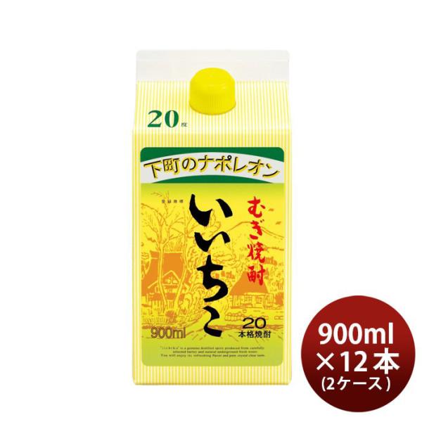 いいちこ 20度 パック 900ml 12本 2ケース 麦焼酎 焼酎 三和酒類