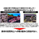 しそ焼酎 鍛高譚 20度 合同酒精 720ml 1本 ギフト 父親 誕生日 プレゼント