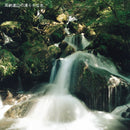 ごま焼酎 紅乙女 角 720ml 24本 2ケース 25度 紅乙女酒造 焼酎