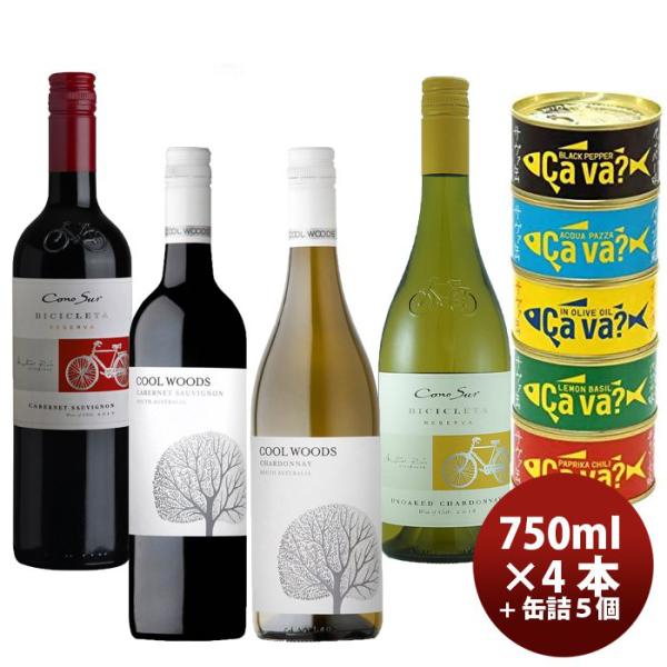 ワインセット カベルネS&シャルドネ飲み比べ×サヴァ缶5種詰め合わせセット ギフト 父親 誕生日 プレゼント
