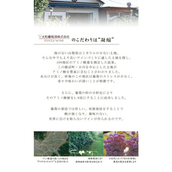 スパークリングワイン 大和葡萄酒 ハギースパーク 重畳 750ml 1本 のし・ギフト・サンプル各種対応不可