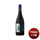 赤ワインチリラ・プラヤピノ・ノワールレゼルバ750ml3本のし・ギフト・サンプル各種対応不可