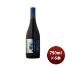 赤ワインチリラ・プラヤピノ・ノワールレゼルバ750ml×1ケース/6本のし・ギフト・サンプル各種対応不可