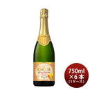 チョーヤ Ｔｈｅ ＣＨＯＹＡ 梅サルーテ 750ml 6本 1ケース 新発売 ギフト 父親 誕生日 プレゼント