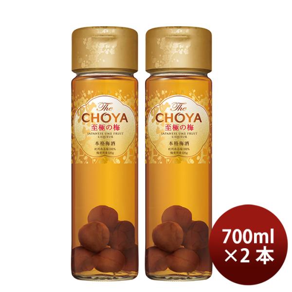 チョーヤTheCHOYA至極の梅650ml2本梅酒リニューアル