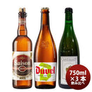 限定品ベルギービール750ml大瓶3種3本飲み比べセットクラフトビール 限定品ベルギービール750ml大瓶3種3本