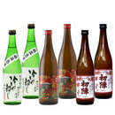 WGO 2025 Award-Winning Brewery Autumn Sake Hoyaoroshi Drinking Set (6 Bottles)