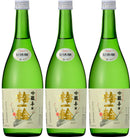Tokusen Ginjo Karakuchi Ume Ichrin 720ml 3bottles