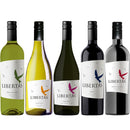 Outstanding Value! Curated Daily Chilean Wine 5-Bottle Set (Red & White) – Wine Tasting Set