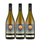 France Moon Range (by Lionel Boutie) Vin Orange 2023 750ml ×3 bottless – Orange Wine