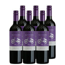 [3btls]Cono Sur Merlot Bicicleta Reserva 750ml x 6 bottles