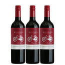 [3btls]Cono Sur Cabernet Sauvignon Bicicleta Reserva 750ml x 3 bottles