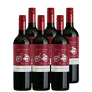 [6btls]Cono Sur Cabernet Sauvignon Bicicleta Reserva 750ml x 6 bottles