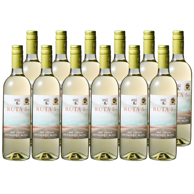 Chile Ruta 5 Sauvignon Blanc 750ml × 12 bottless – White, Dry Wine