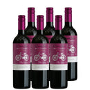 [6btls]Cono Sur Carmenere Bicicleta Reserva 750ml x 6 bottles