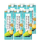 Santonage Gentle White Wine – No Added Antioxidants, 1.8L Carton (6Pack)