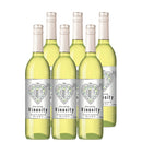 Chile Vinosity Sauvignon Blanc 750ml ×6 bottless – White, Dry Wine