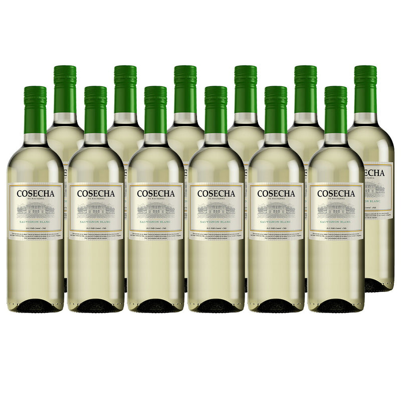 Chile Cosecha Sauvignon Blanc 750ml×12bottless – White, Dry Wine