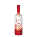 Fruit Wine CHOYA ICE NOUVEAU Ice-Ripe Plum Wine 2025 720ml 1 Bottle