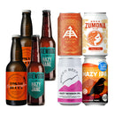 Isshusouden Selection – Hazy Craft Beer Assortment (6 Varieties, 8 Bottles & Cans, Popular Breweries, Tokyo Blues)